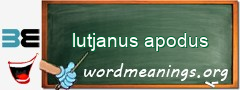 WordMeaning blackboard for lutjanus apodus